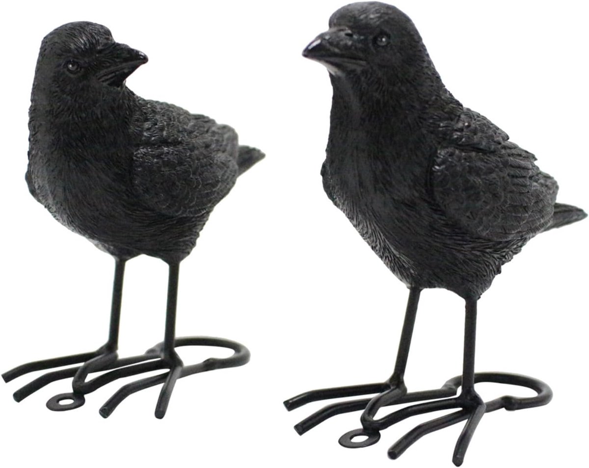 SnelShoppen - Halloween Kraai Ornament, Realistische Raven Beeldjes van Duurzaam Resin voor Binnen & Buiten, Decor voor Feest, Tuin en Party Props