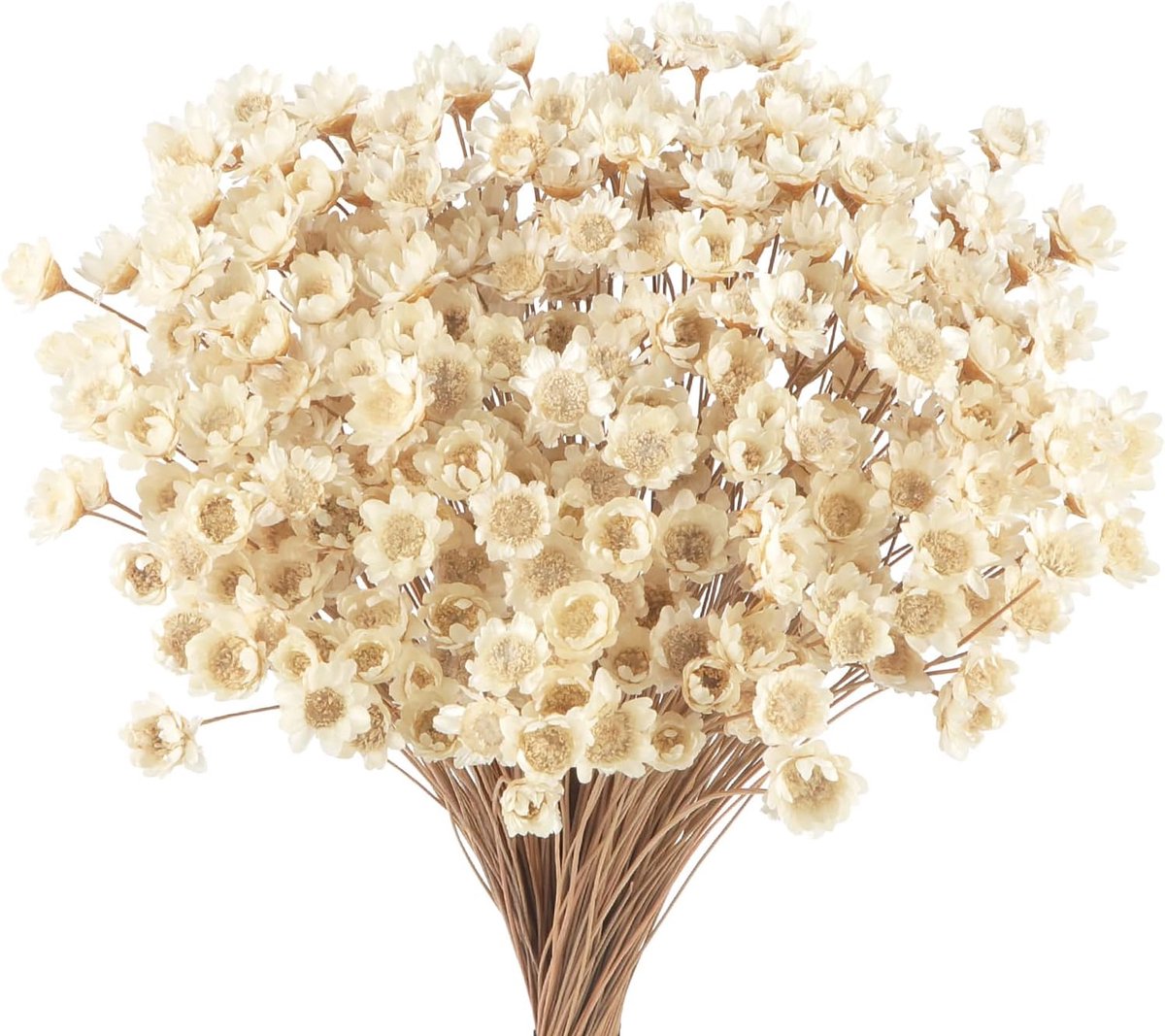 SnelShoppen - 300pcs Mini Drogen Bloemen Sterrenbloemen Set - Kleine Witte Ster Bloemen voor Bruiloft, Party Decoratie, Dried Flower Bouquet, 35 cm