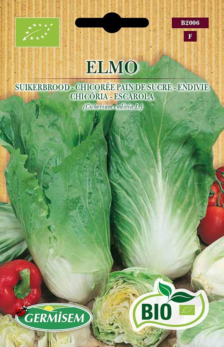 SnelShoppen - Germisem Biologische Elmo Chicoreizaden 2g - Heerlijke Fenegriekplant met Aromatische Bladeren voor Salades, Stoofschotels en Roosteren