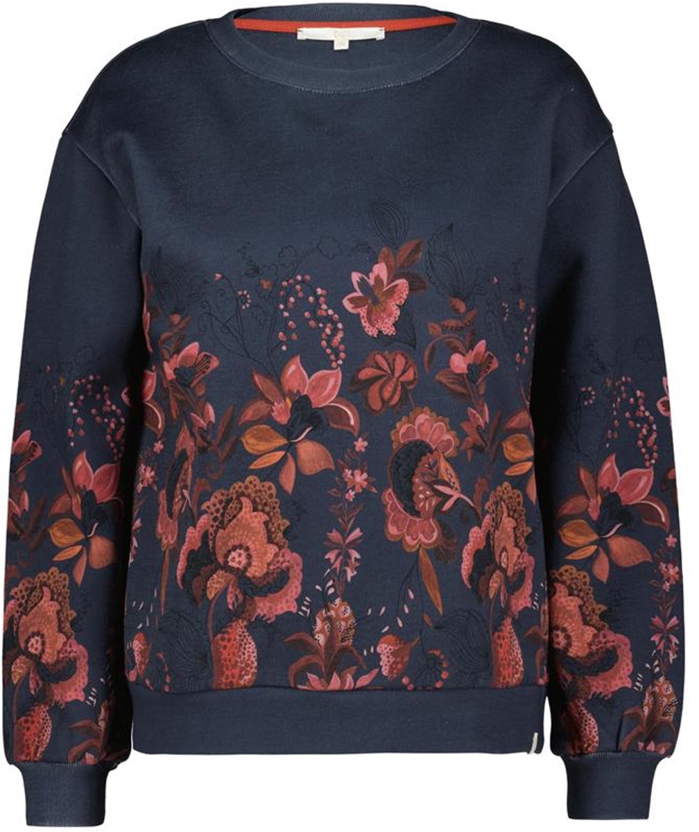DIDI Dames Sweater Frame Autumn Rose panel maat 38