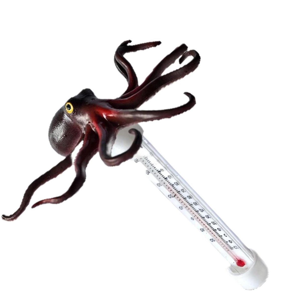 Digitale Waterthermometer - Vijverthermometer Spa - Watertemperatuur Meten - Innovatief Dieren Design - 20 cm - Octopus