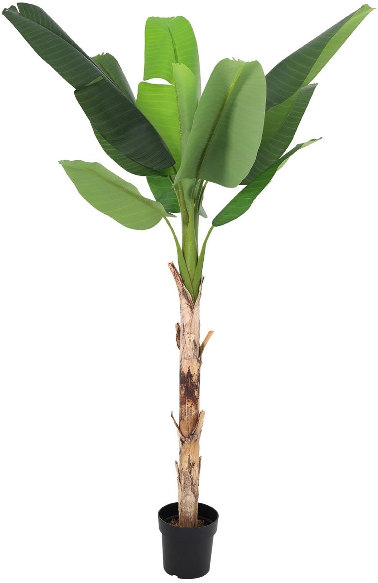 Trendyplants - Kunst Bananenplant Musa - Bananenplant - Kunstplant - Hoogte 190cm - Potmaat Ø20cm