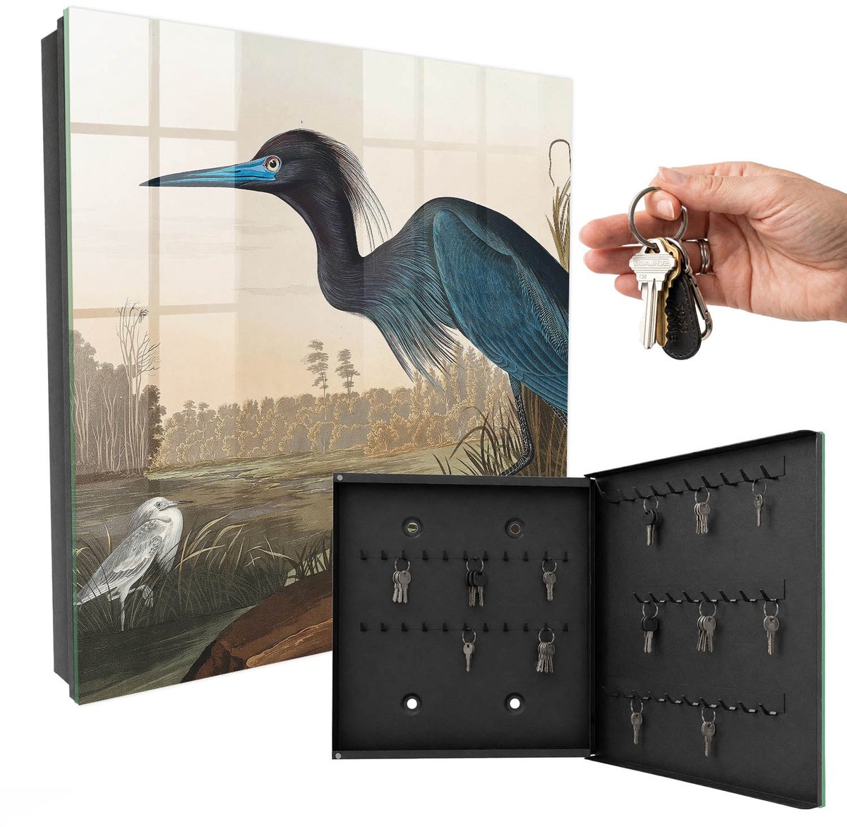 WallMuralia - Sleutelkast - 30x30x5 cm - met 50 haken - Exotische Vogel Sleutelkastje Binnen - Blauw Sleutelbox - Rechtsopenend - Zwart interieur