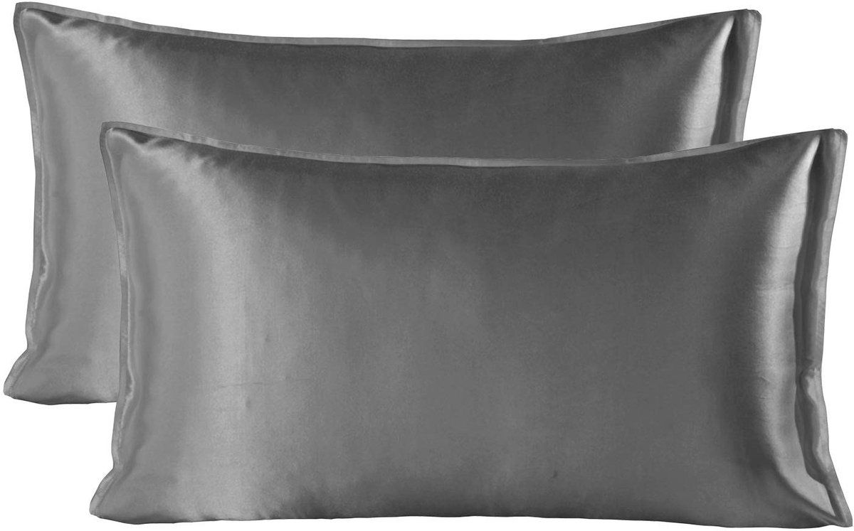 Omgoods - 22 Momme Zijde Kussensloop, 2 Stuks - 100% Moerbei Zijde Kussenslopen voor Haar en Huid (50x90 cm, Grijs)