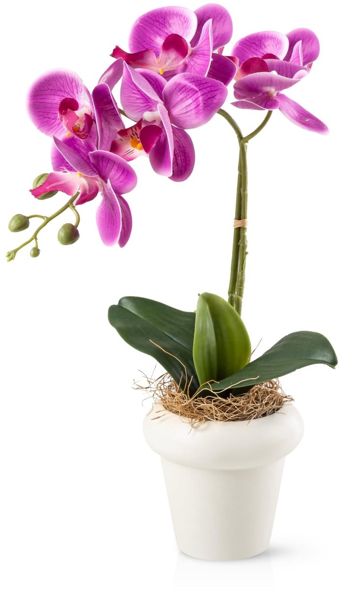 Omgoods - Kunstmatige Orchideeën in Hoogglans Keramische Potten - 46 cm