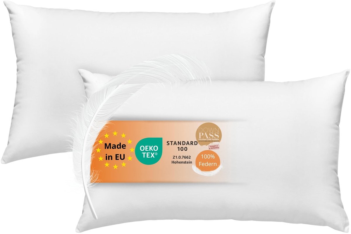 Omgoods - Set van 2 Kussens 40 x 60 cm - Veerkrachtige Donsvulling, Wasbaar