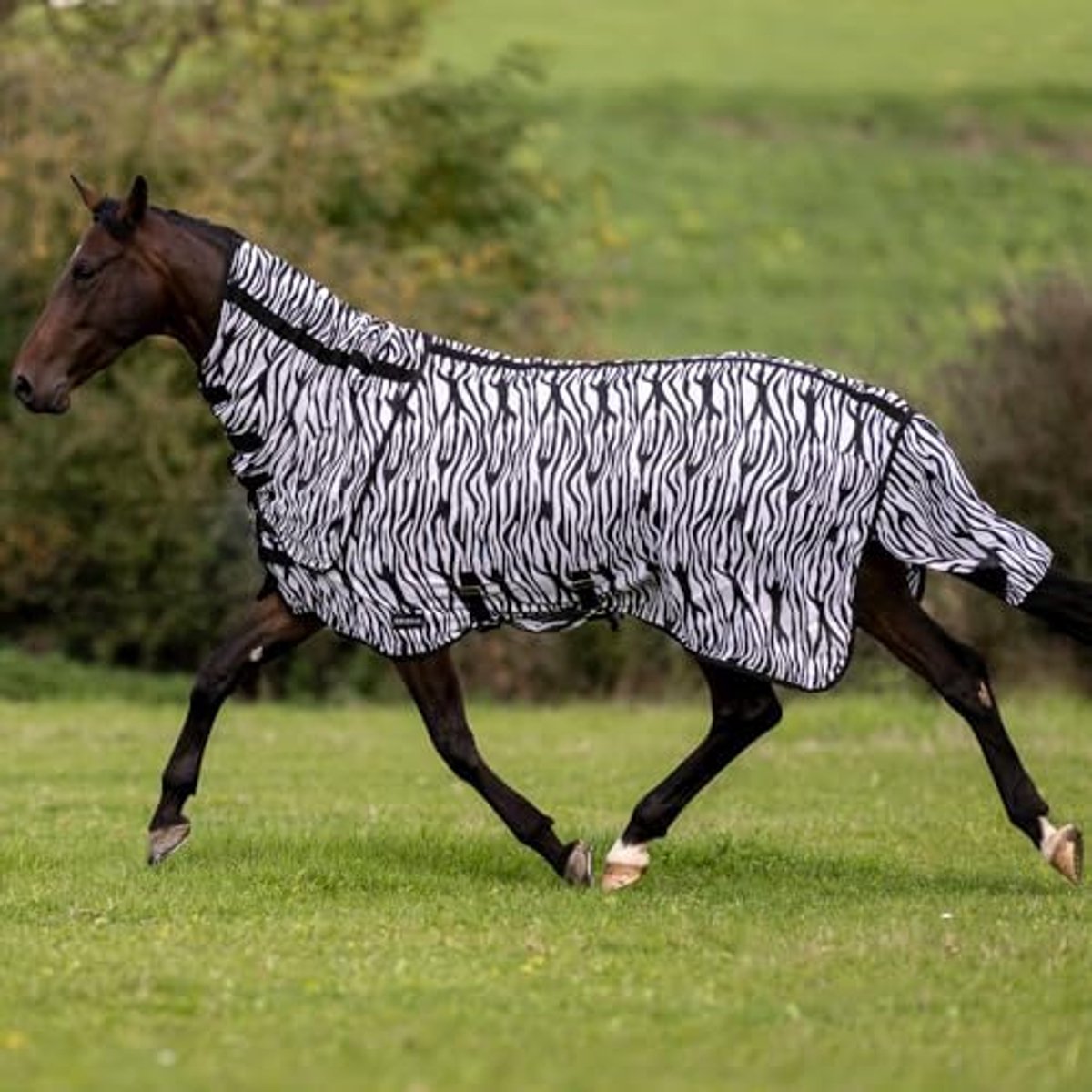 Busse Vliegendeken Comfort Flexi Zebra-135-185