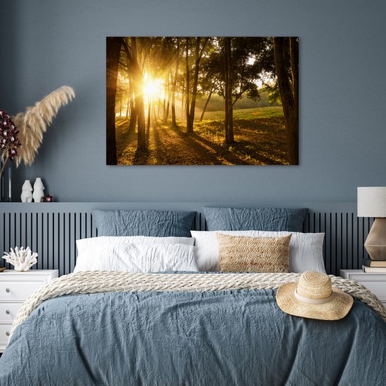 Le soleil d'automne se lève sur une forêt sombre Poster 120x80 cm - Tirage photo sur Poster (décoration murale salon / chambre)