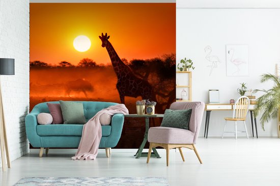 Behang - Fotobehang Giraffe - Zon - Savanne - Breedte 350 cm x hoogte 350 cm