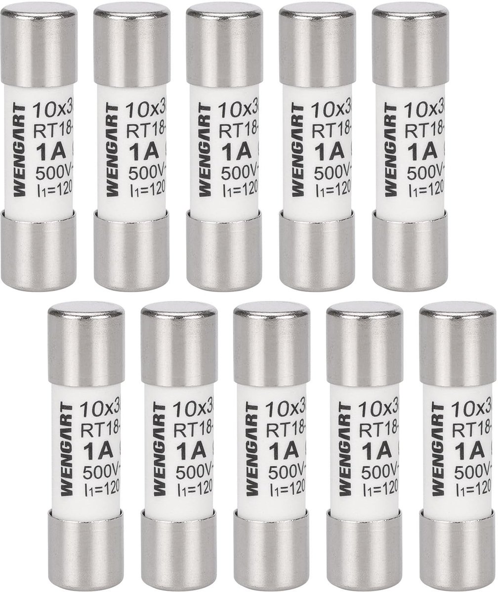 Omgoods - Set van 10 AC Cylinderzekeringen RT18-32, 10 x 38 mm
