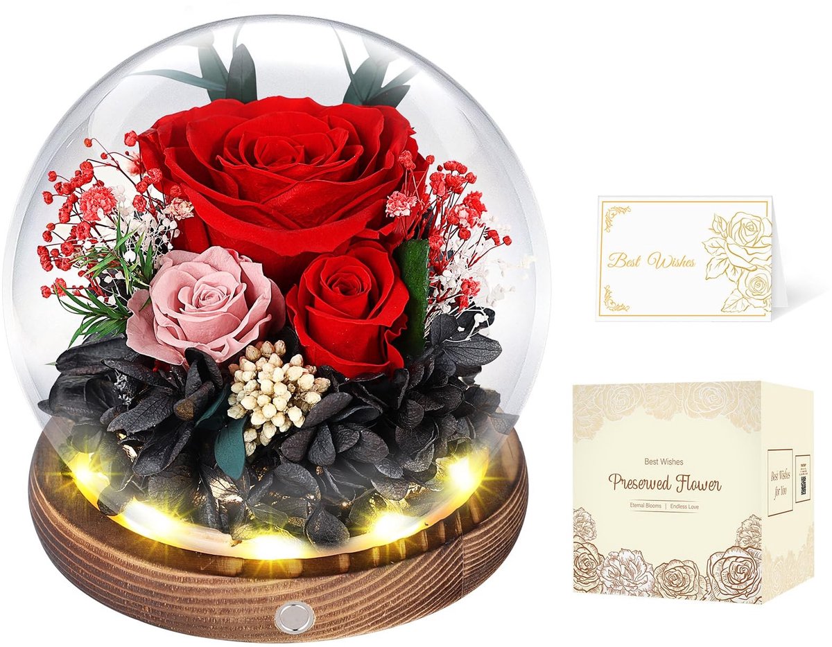 SolidKeus - Eterne Roos in Glas Dome als Perfect Cadeau voor Haar