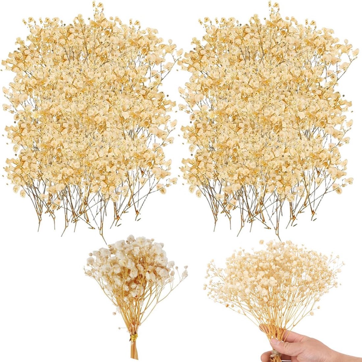 Gedroogde bloemen, gele staven, gebroken wit, standaardmaat, voor knutselen, kaarsen, hars, sieraden, nagels, handwerk