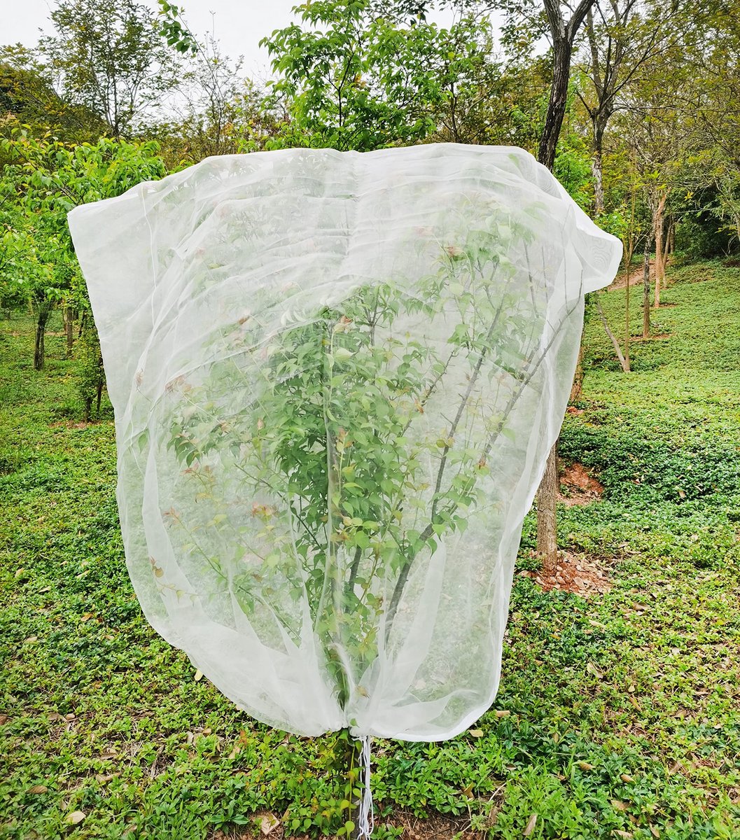 SolidKeus - Insectenbeschermnet voor Planten met Rits en Trekkoord 1.8m x 1.8m