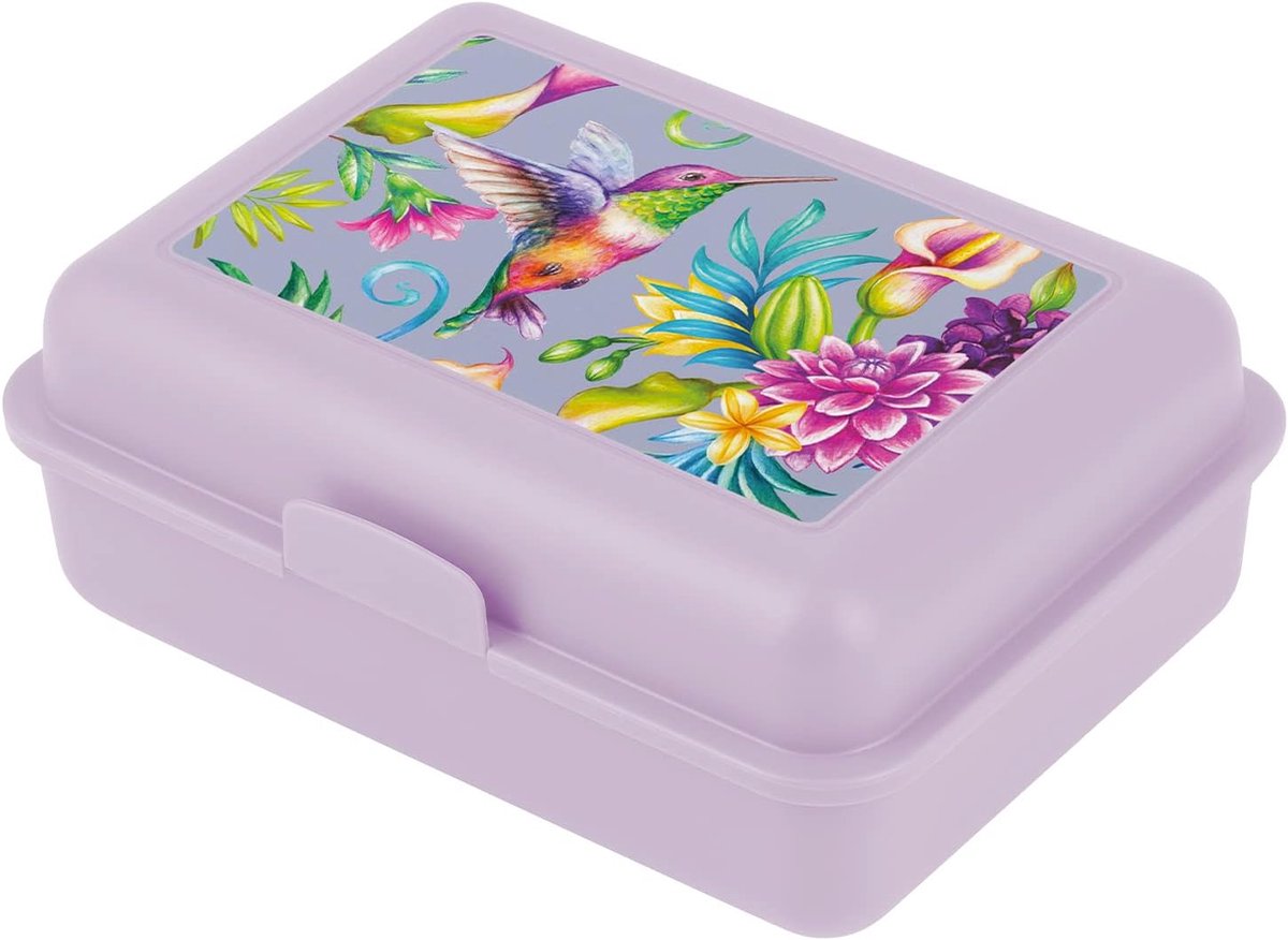 Broodtrommel voor kinderen met vakken, broodtrommel met scheidingswand voor school en kleuterschool, lunchbox met vakken voor meisjes (kolibrie)