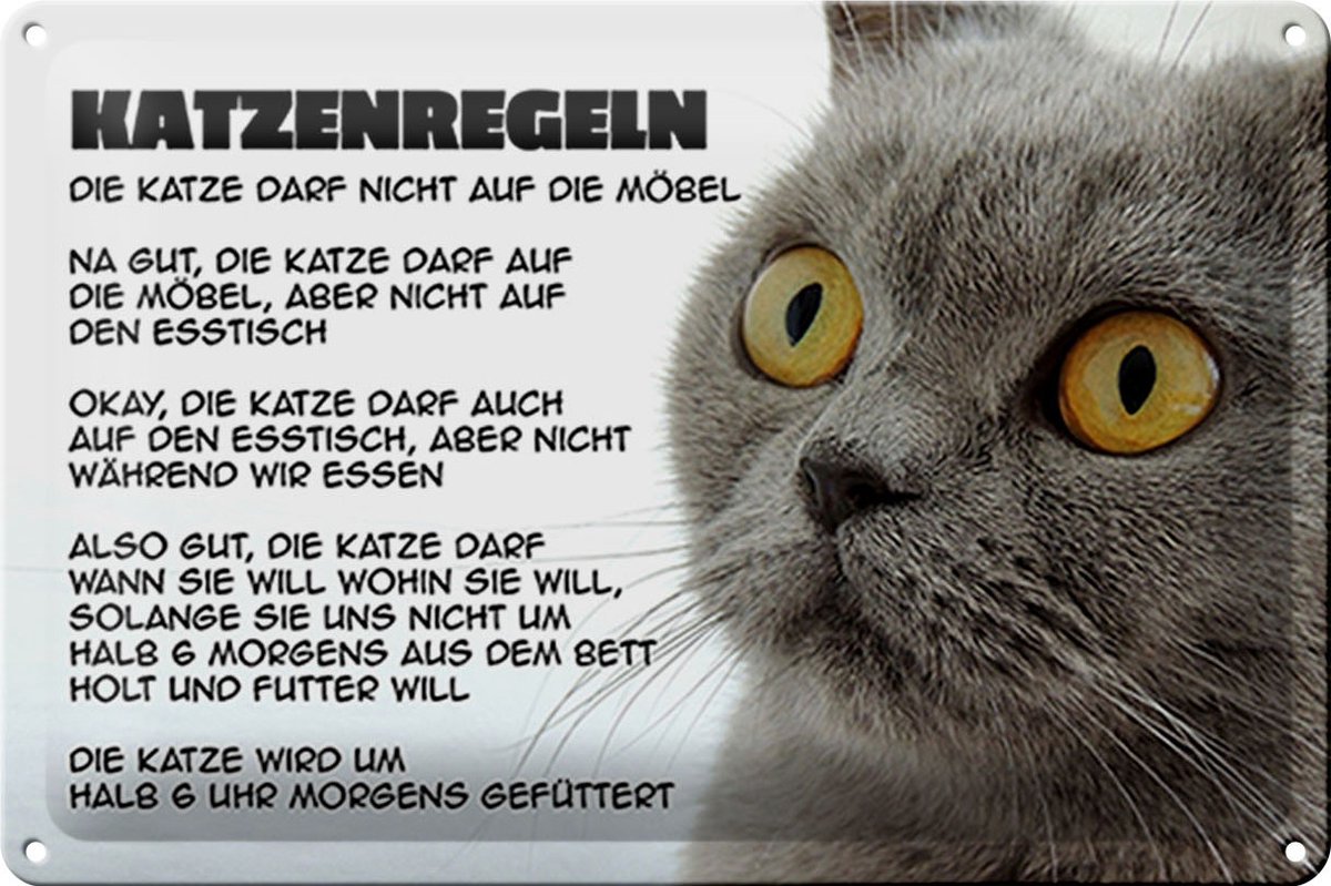 Blechschild Spruch 30x20cm Katzenregeln Katze darf nicht