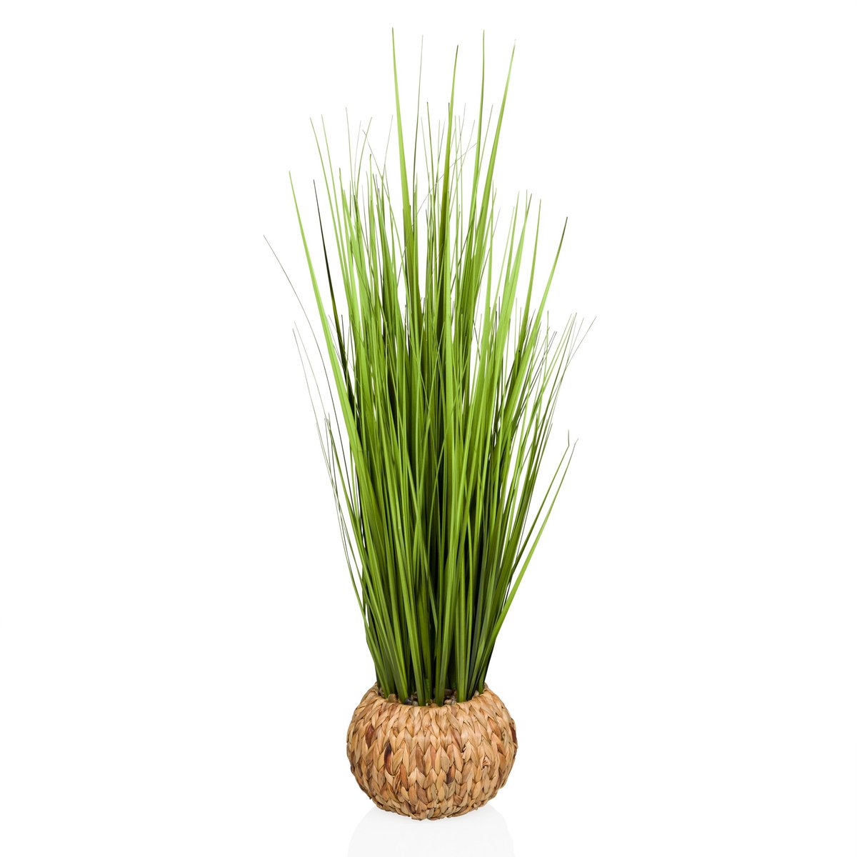 hjh office Kunstplant CORTADERIA Groen hjh OFFICE