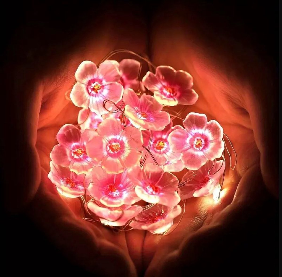 Lichtslinger bloemen - LED lampjes bloemetjes - Lampjesslinger - Batterijverlichting - Bloesem - Blossom - Flower lights - Fairy lights - 20 lampjes - 2 meter - Op batterij - Multicolor - Jonyx