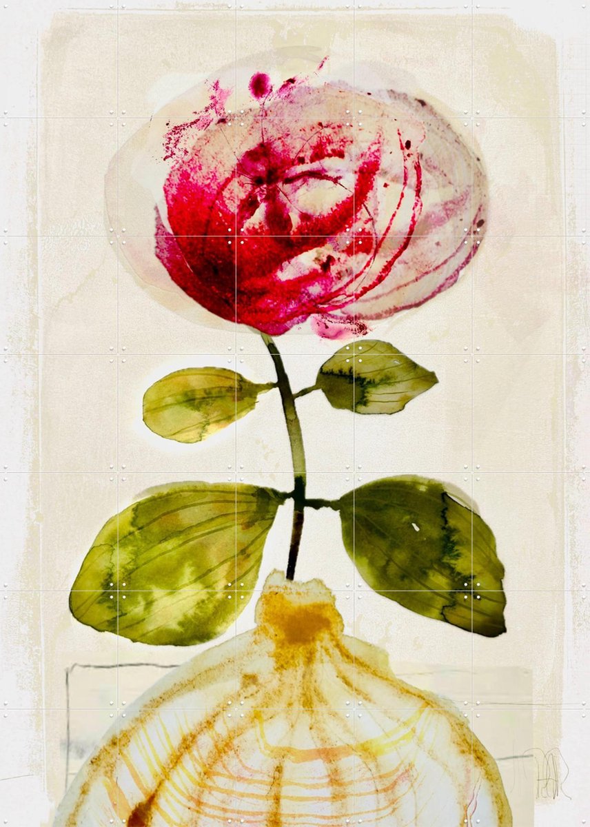 IXXI Pink Peony, RAR Kramer - 100 x 140 cm - Gratis ophangtool - Grote wanddecoratie en posters - Gemengde Technieken, Aquarel, Eetkamer, Woonkamer