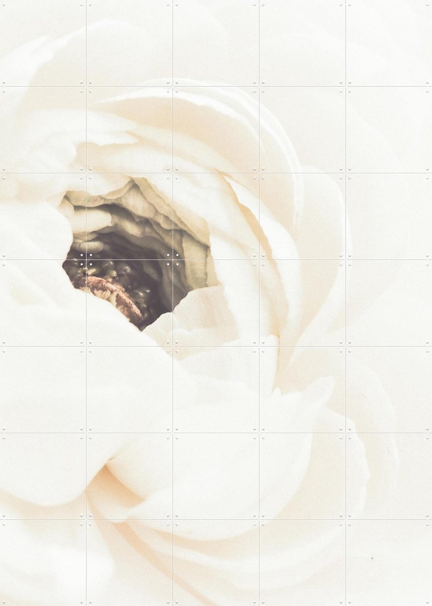 IXXI White Flower 01, 1x Studio II & Various - 100 x 140 cm - Gratis ophangtool - Grote wanddecoratie en posters - Realisme, Impressionisme