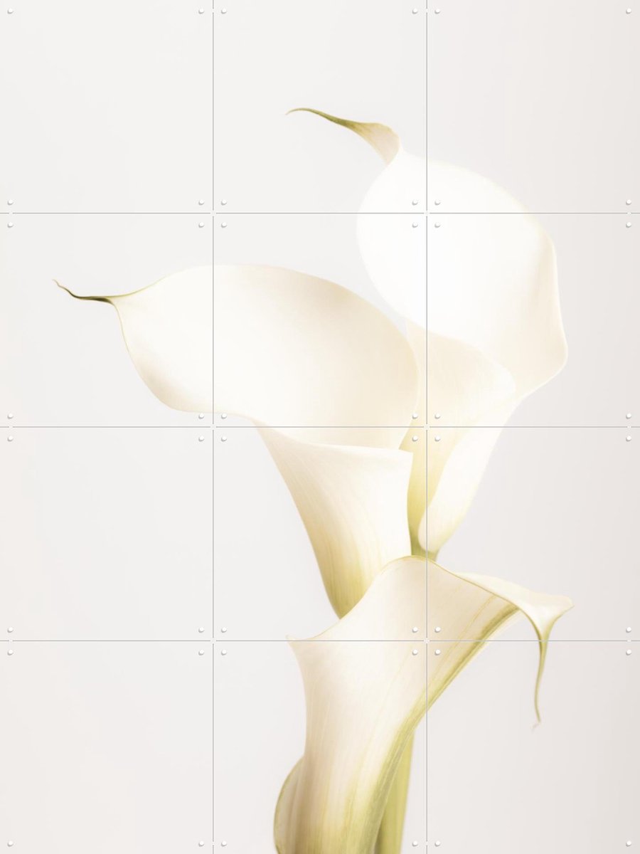 IXXI White Calla Lily No 3, 1x Studio II & Various - 60 x 80 cm - Gratis ophangtool - Grote wanddecoratie en posters - Minimalisme, Abstract