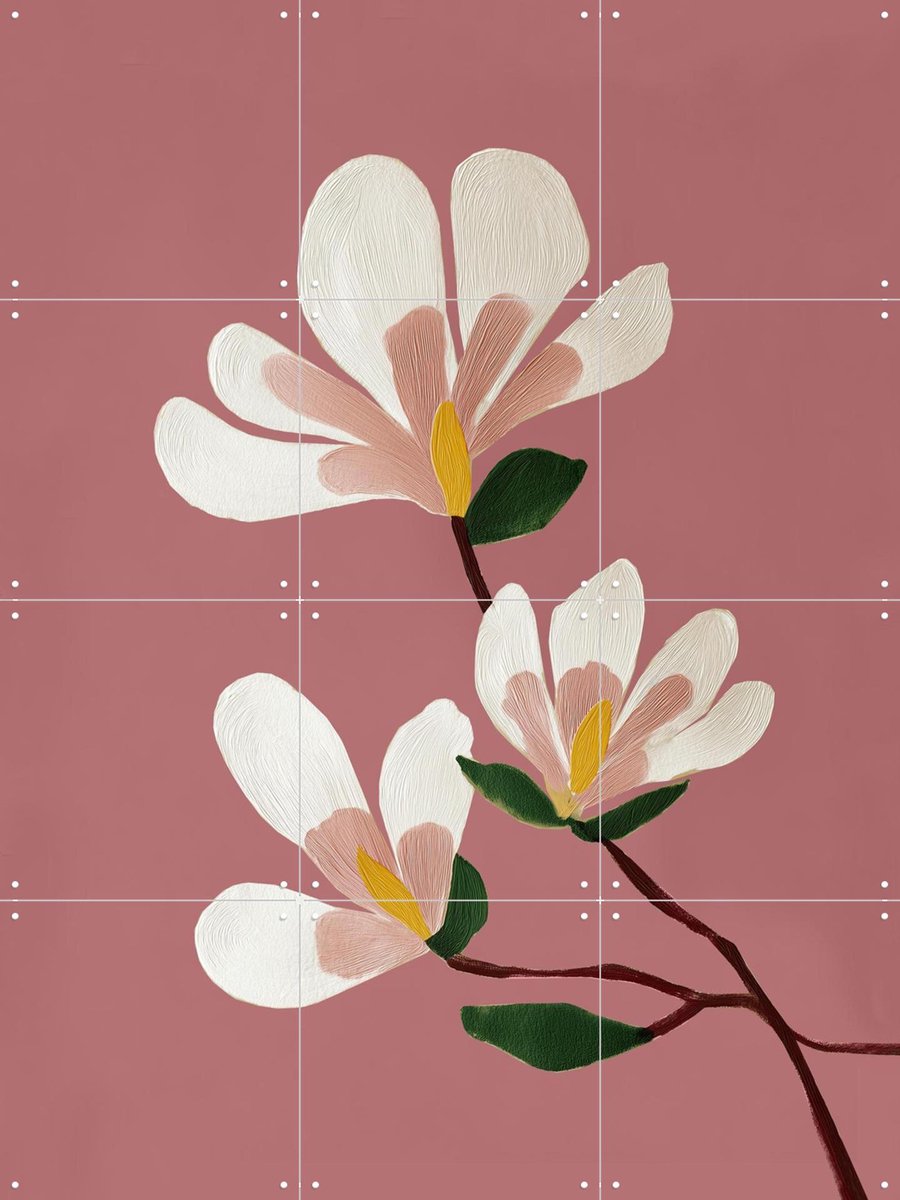 IXXI Pink Magnolia Flowers, Branka Kodžoman - 60 x 80 cm - Gratis ophangtool - Grote wanddecoratie en posters - Schilderijen, Modern, Eetkamer