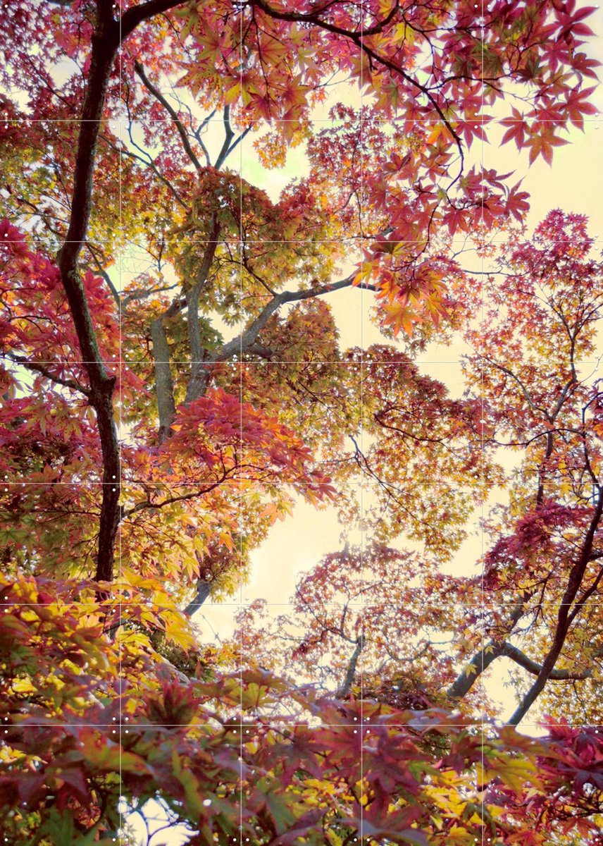 IXXI Japanese Garden, Angelo Cerantola - 100 x 140 cm - Gratis ophangtool - Grote wanddecoratie en posters - Kleurrijk, Slaapkamer, Woonkamer, Gang