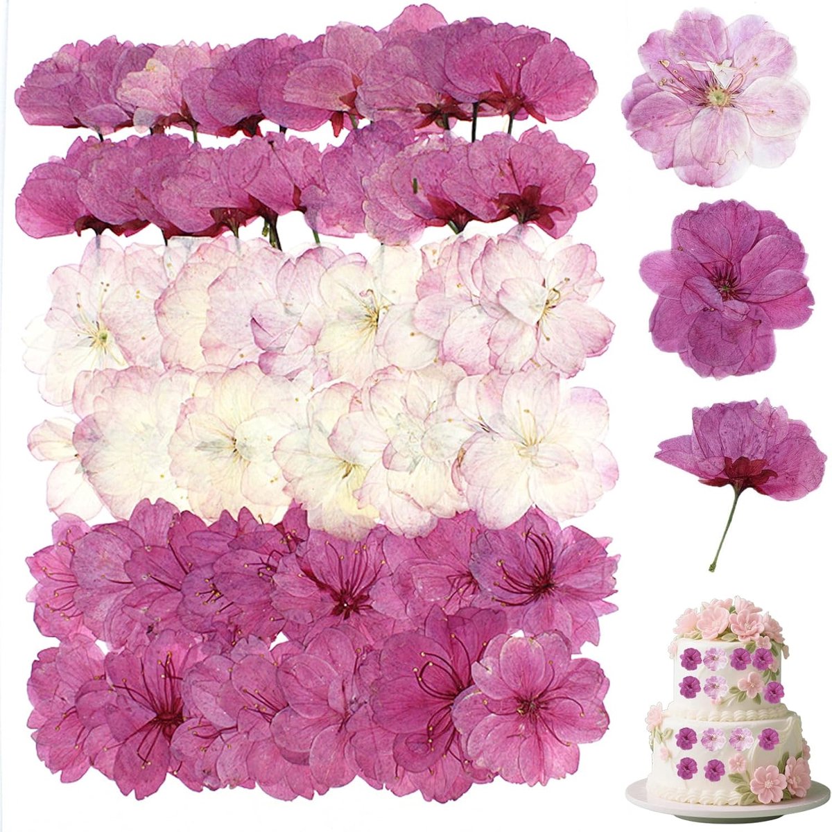 Gedroogde kersenbloesems, taartdecoratie, geperste gedroogde bloemen, Sakura-taartdecoratie, cupcake-topper, taartdecoratie voor bruiloft, verjaardag, lentetaart