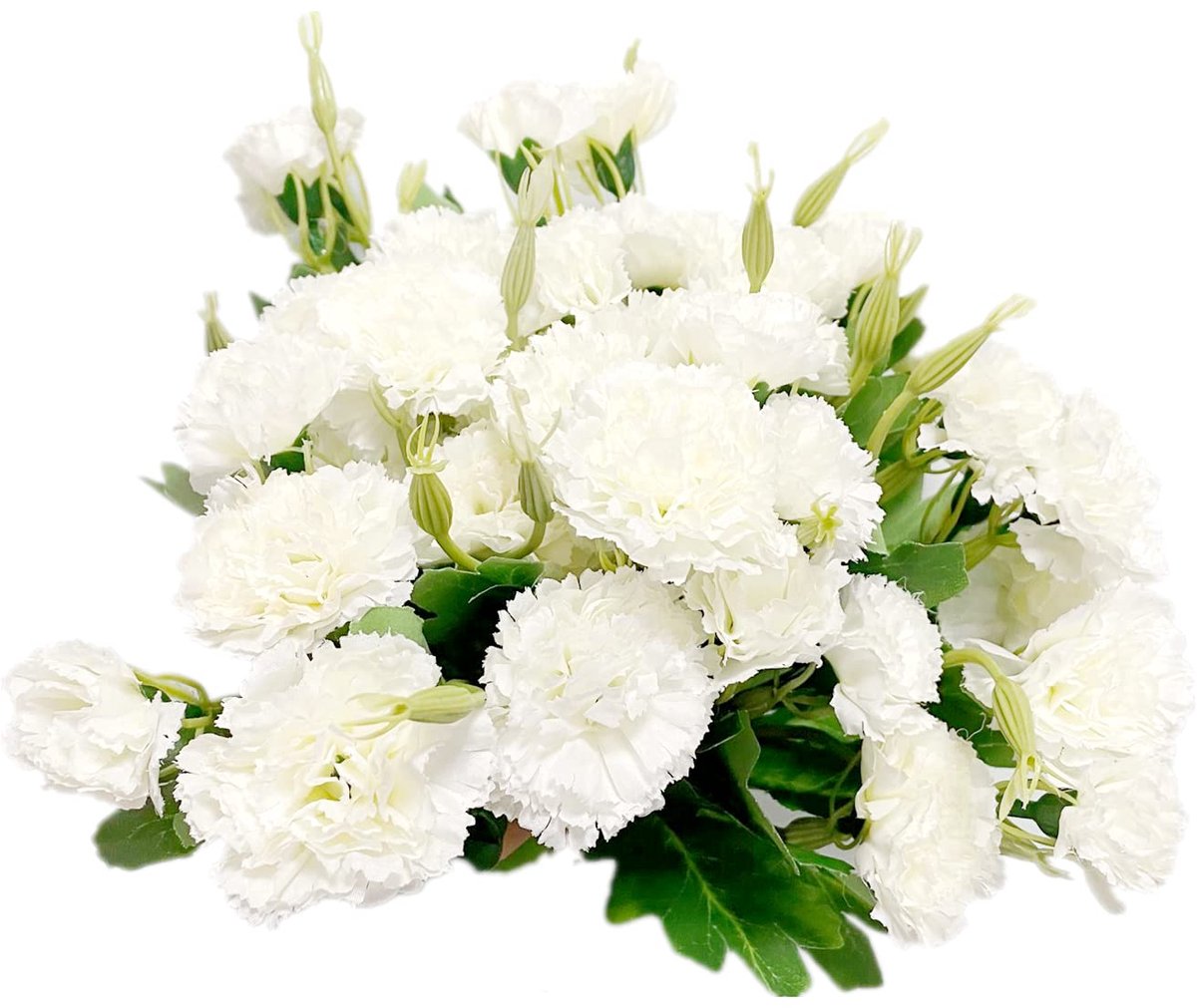 Zijden bloem, witte anjers, permanente bloem en groen blad voor thuisfeest, bruids bruiloft holding bloemen festival decor met 10 per bos bloem - 30,5 cm