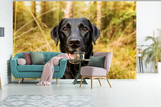 Papier peint - Papiers Papier peint photo - Happy Black Dog - Largeur 345 cm x Hauteur 220 cm