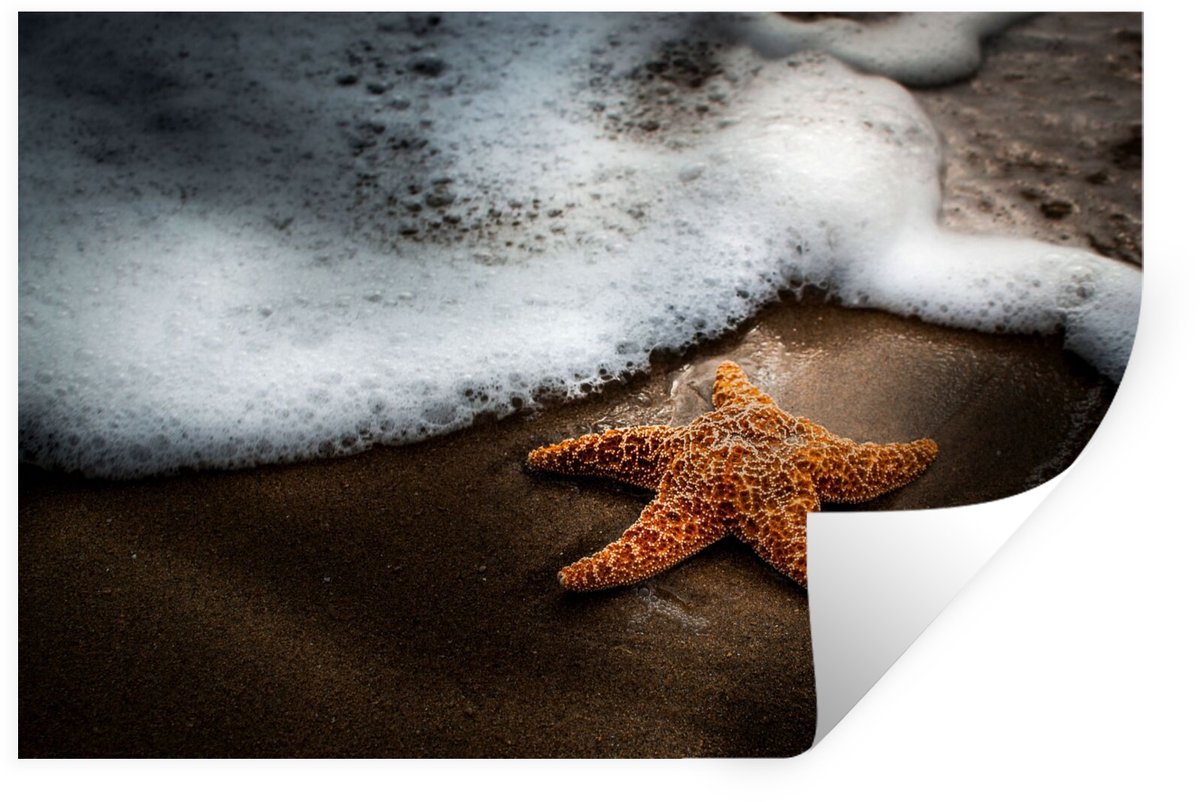 Muurstickers - Sticker Folie - Zeester - Zand - Water - 60x40 cm - Plakfolie - Muursticker