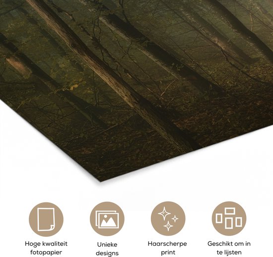 Poster 60x40 cm - Bos - Winter - Mist - Pad met bomen - Bospaden - Posters - Kamer decoratie - Wanddecoratie woonkamer - Muurdecoratie slaapkamer