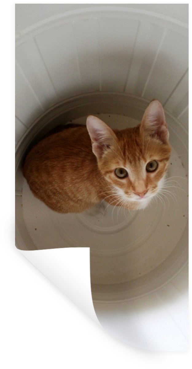 Muurstickers - Sticker Folie - Kat - Prullenbak - Wit - 40x80 cm - Plakfolie - Muursticker