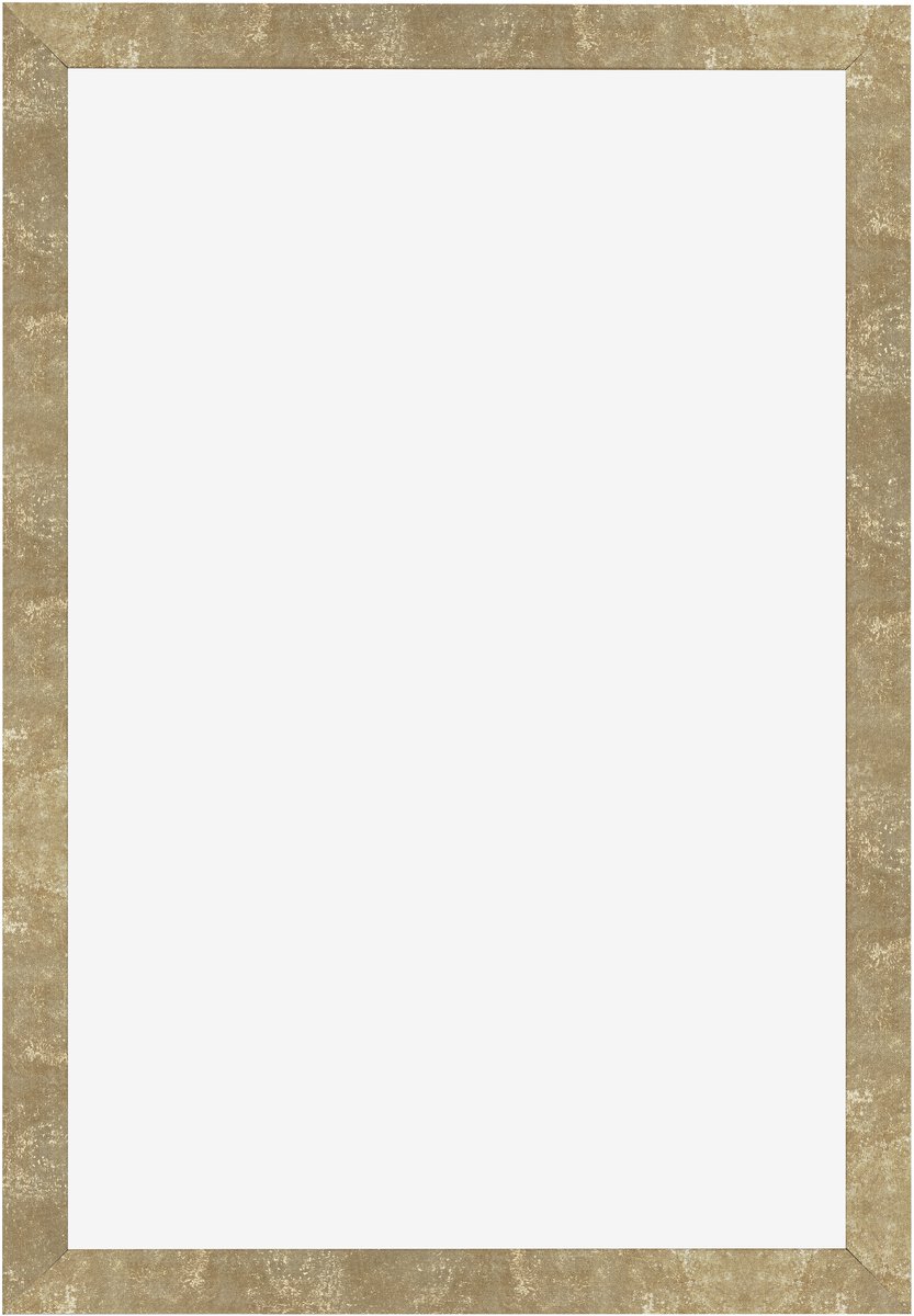 Fotolijst 61x91,5 cm - MDF - Goud Antiek - Benno
