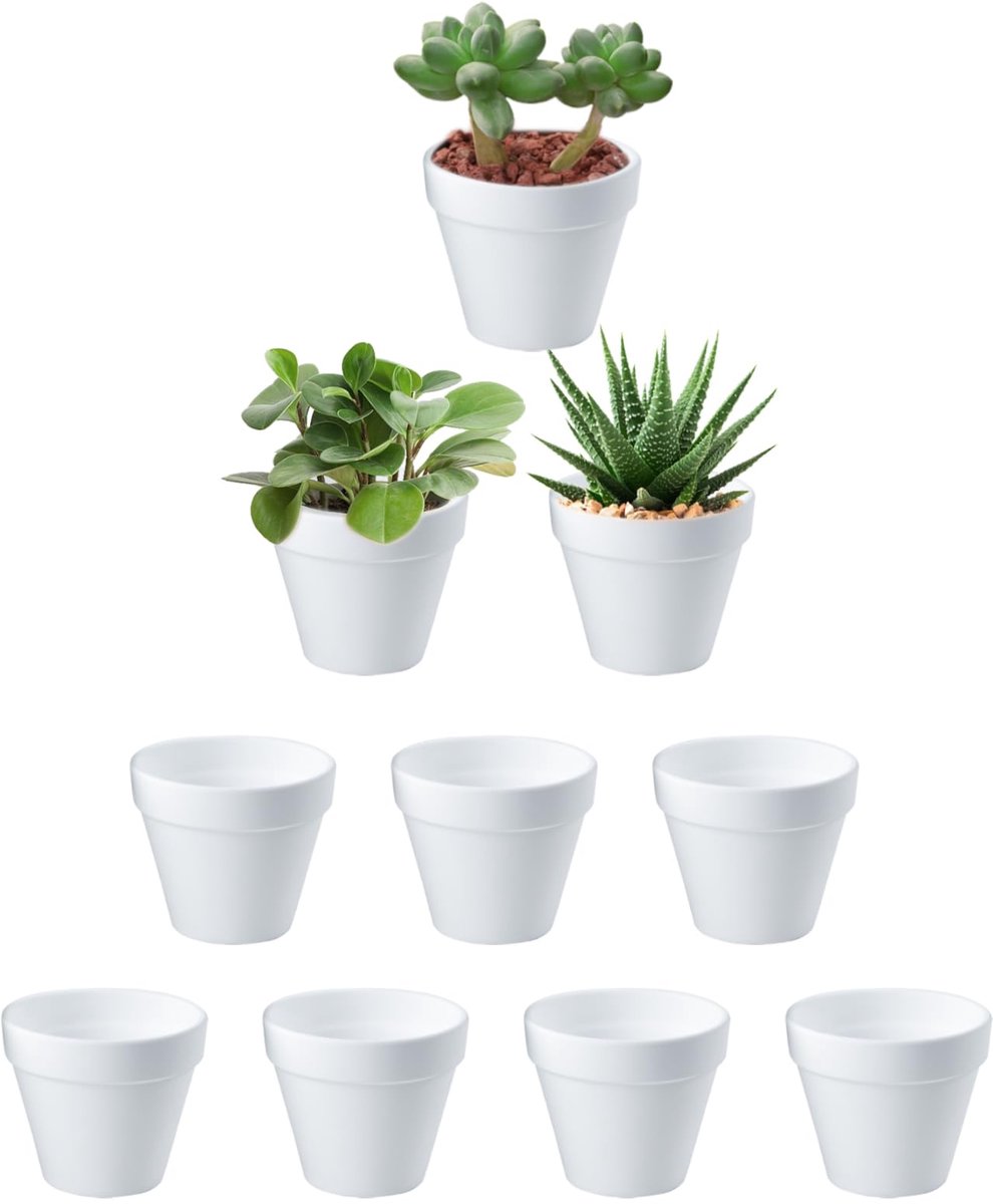 10 stuks mini-bloempotten, wit, anti-keramiek, vetplanten, mini-onbreekbare plastic potten voor planten binnen en buiten, vetplanten, huisplanten (6 x 7 cm)