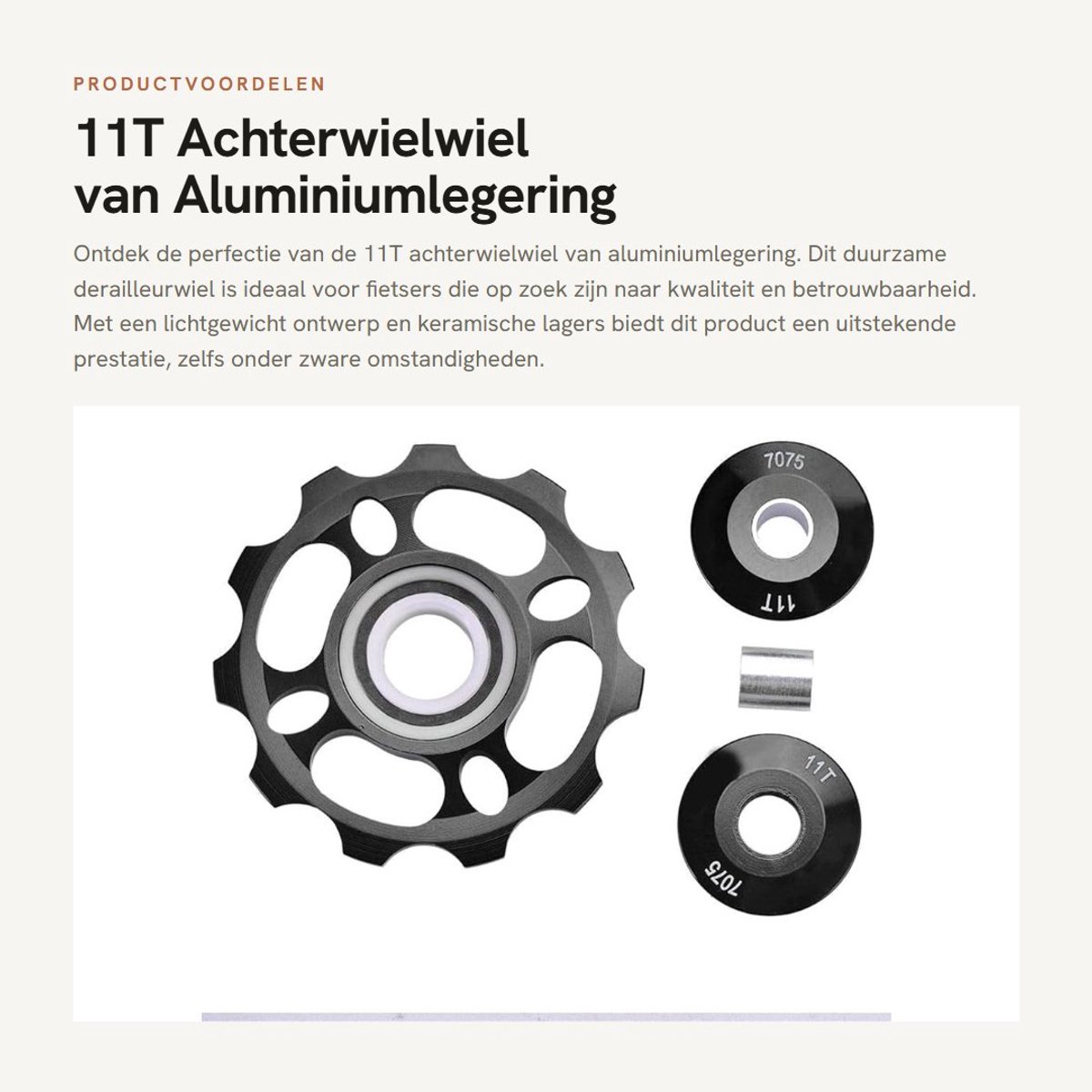 Dailygoods- Derailleurwiel Aluminiumlegering - Achterderailleur - Keramische Lager - Roestvrij - Corrosiebestendig - Lichtgewicht - Fietsrol