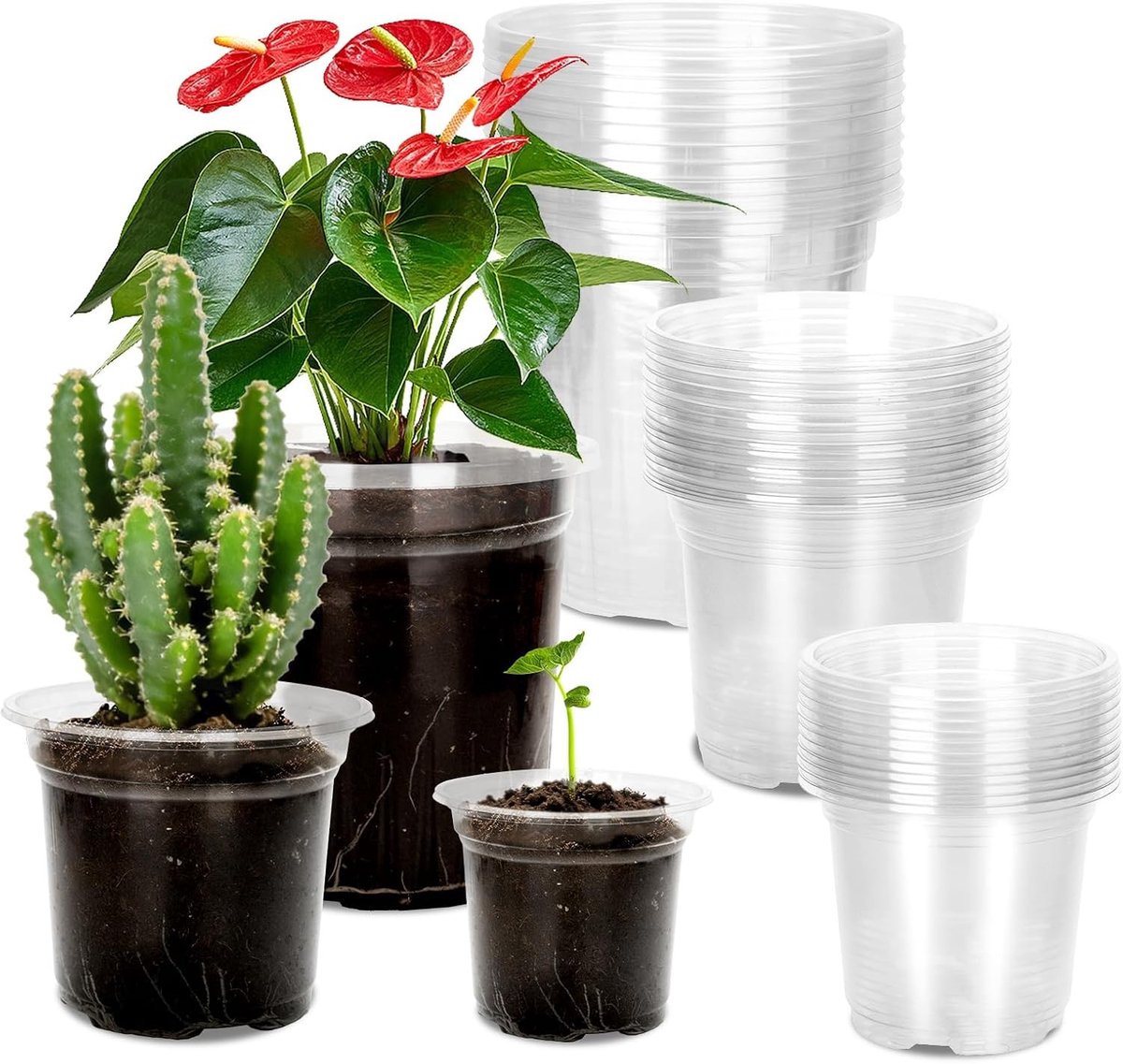 Set van 15 Doorzichtige Plastic Plant Potten voor Orchideeën, Zaailingen en Succulenten - 3.5/3.9/5 inch, Ideaal voor Potten en Vermeerderen