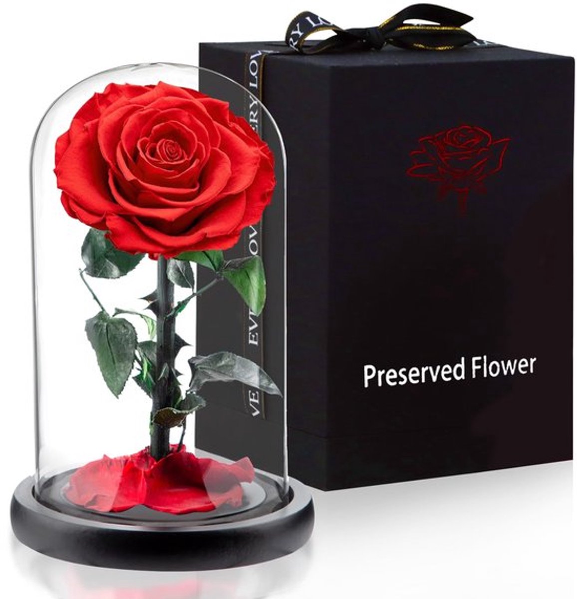 Rozen Onder Glazen Koepel - Eternelle Rozen - Verjaardagscadeau voor Vrouwen - Valentijnsdag Cadeau - Moederdag Cadeau - Luxe Verpakking - 14 x 24 cm - Bloemen