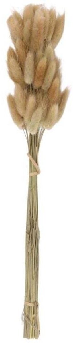 50 boeketten natuurlijke gedroogde bloemen, in hun natuurlijke kleuren, geschikt voor bruiloftsdecoraties, inclusief konijnenstaartgras.
