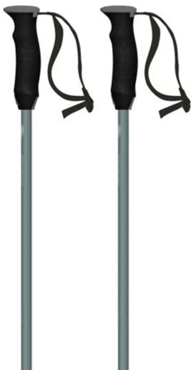 Atomic Revent Stokken Zilver 125 cm