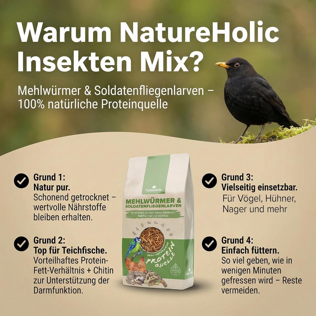 Gedroogde Insectenmix - 3 Liter - Eiwitrijk Voer voor Vogels, Kippen, Reptielen en Knaagdieren