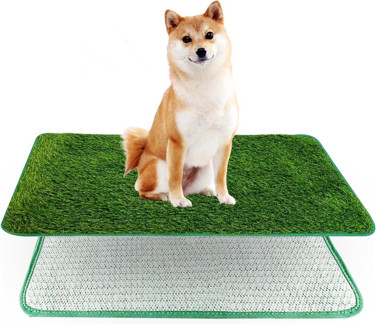 Hondentoilet - Puppytoilet Trainingsmat - Zindelijkheidstraining - Superieure Drainage - 71 x 46 cm - Groen