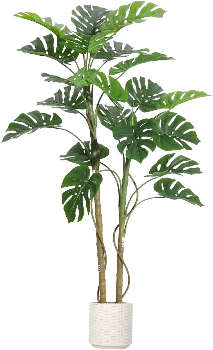 Kunstmatige Monstera Plant - Realistisch met Luxe Keramische Pot - voor binnen en buiten - 152 cm Groen Kunstzijde - 183 cm
