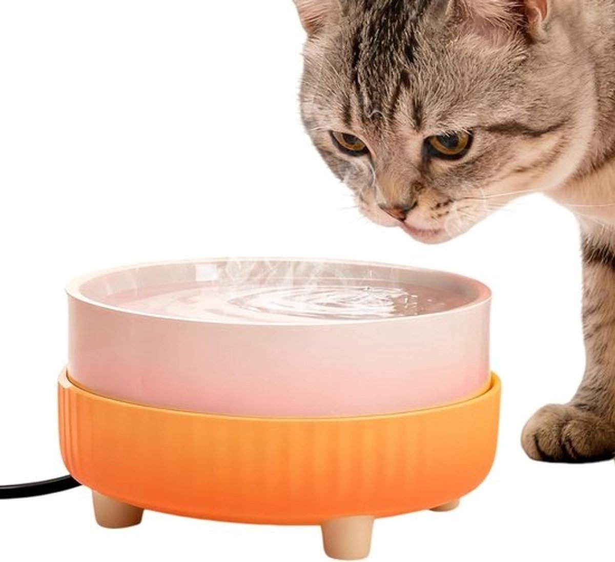 Verwarmde Huisdierenkom - Drinkbak Keramiek - Huisdieren Hydrateren - USB Aangedreven - 14x14x8 cm - Wit