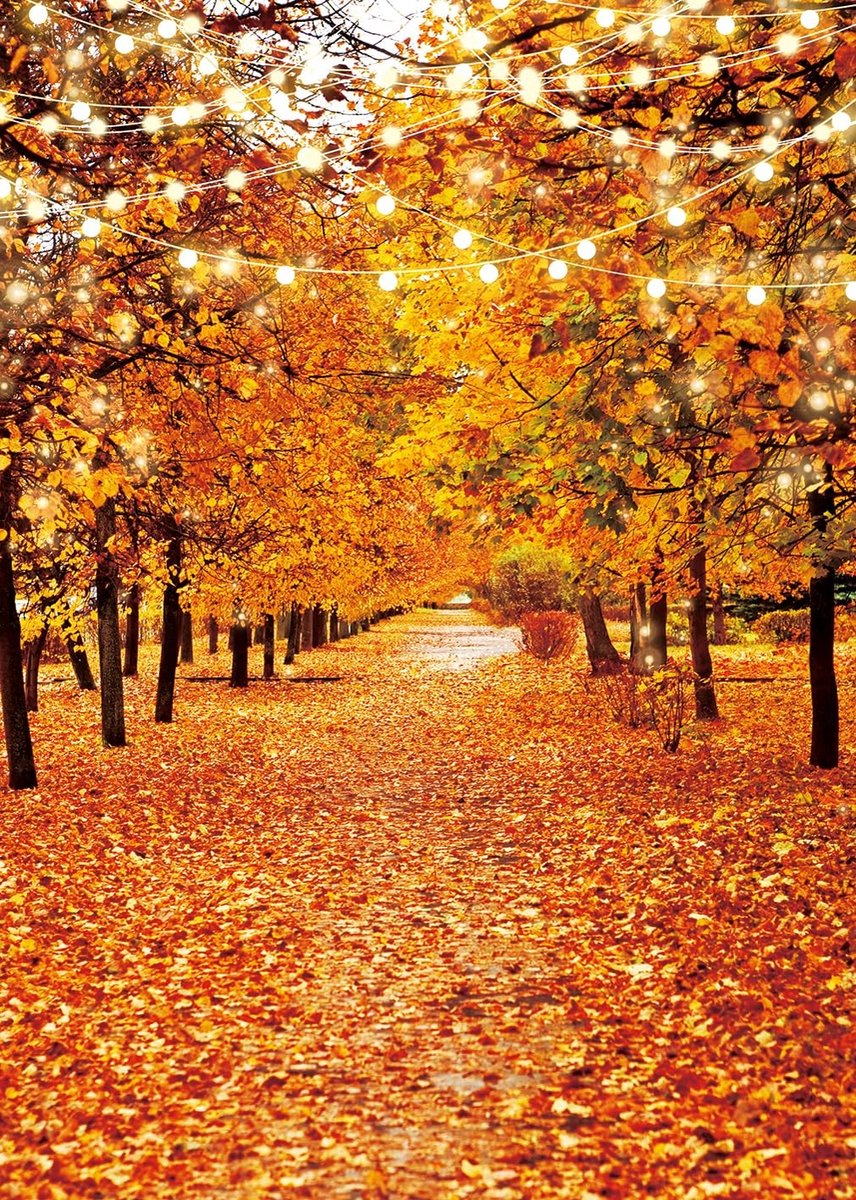 Fotografie Achtergrond - Herfst Bospad met Gouden Bladeren en Fairy Lights