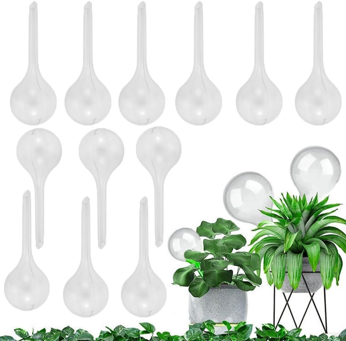 12 Stuks Plant Irrigatieballen, 60ml, Transparant, Voor Kleine Planten, Zelfwaterend Systeem, Waterdispenser voor Binnen en Buiten, Ideaal voor Plantenverzorging