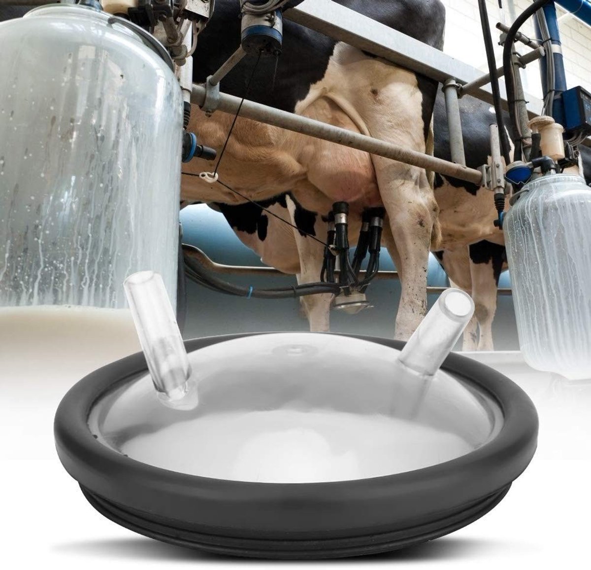 Melkafvoersysteem Deksel - Transparant Plastic met Twee Ingangen