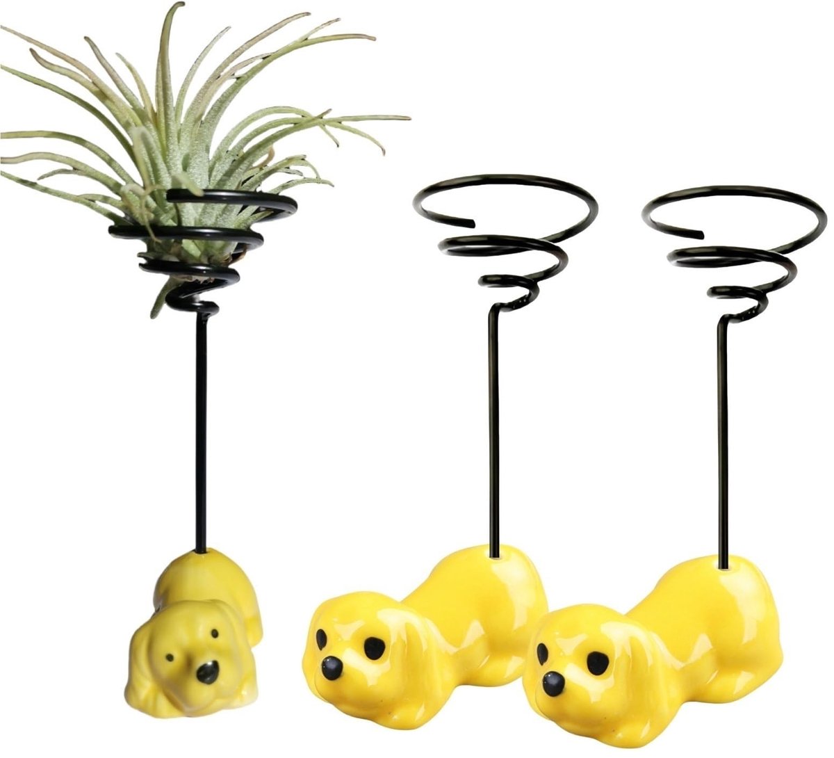 Keramische Luchtplantenhouder - Decoratief Design - 3 Stuks