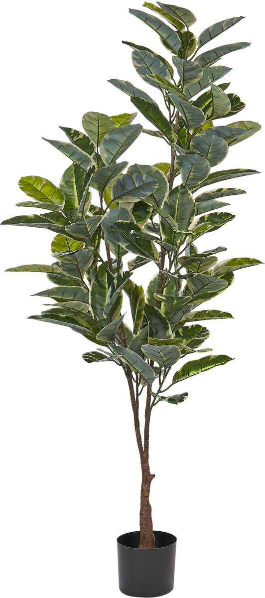 Beliani FICUS ELASTICA - Kunstplant - Groen - 160 cm - Synthetisch materiaal