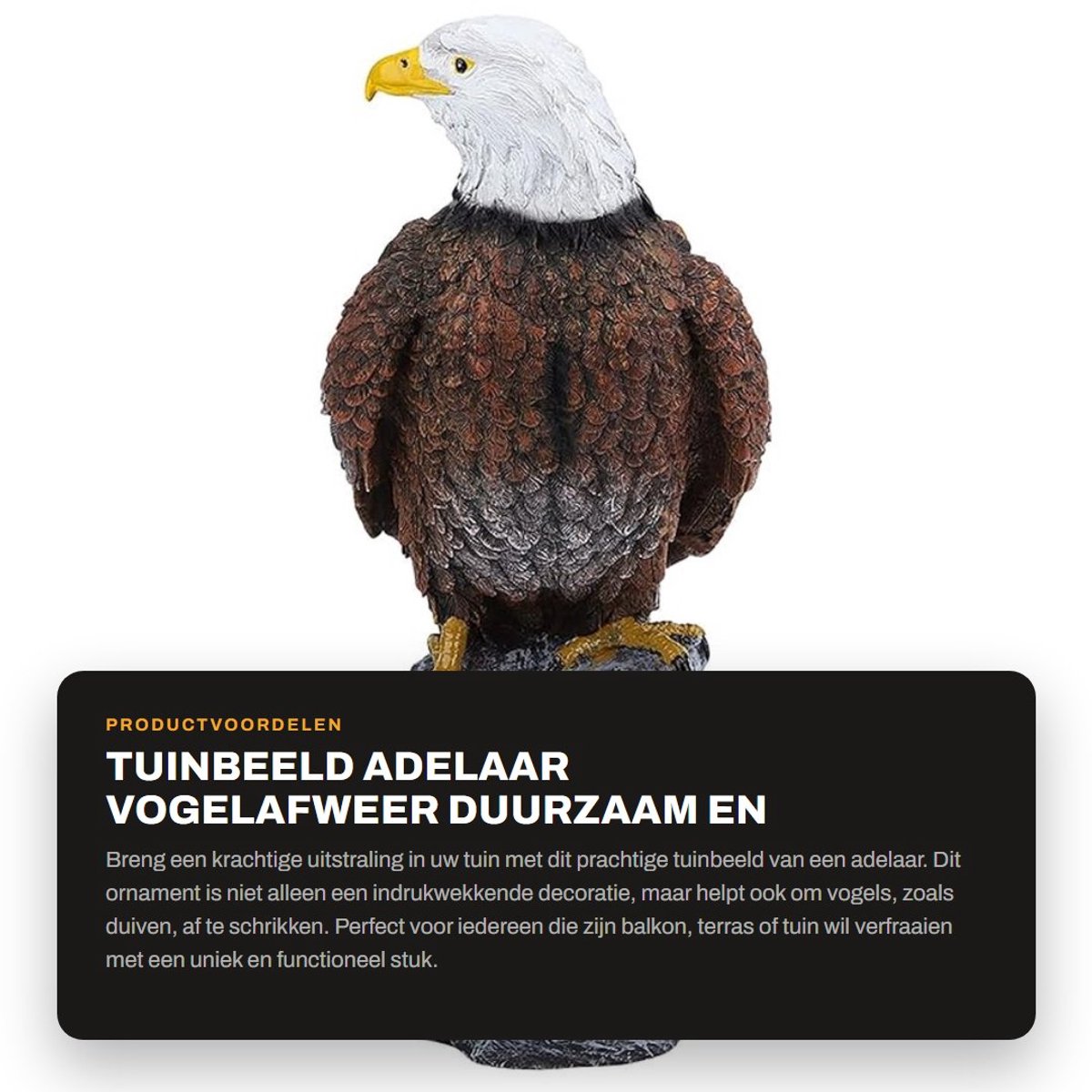 Dailygoods- Tuinbeeld Adelaar - Duurzaam Hars - Tuindecoratie - Vogelafweer - Balkon/Sculptuur - Weerbestendig - Milieuvriendelijk