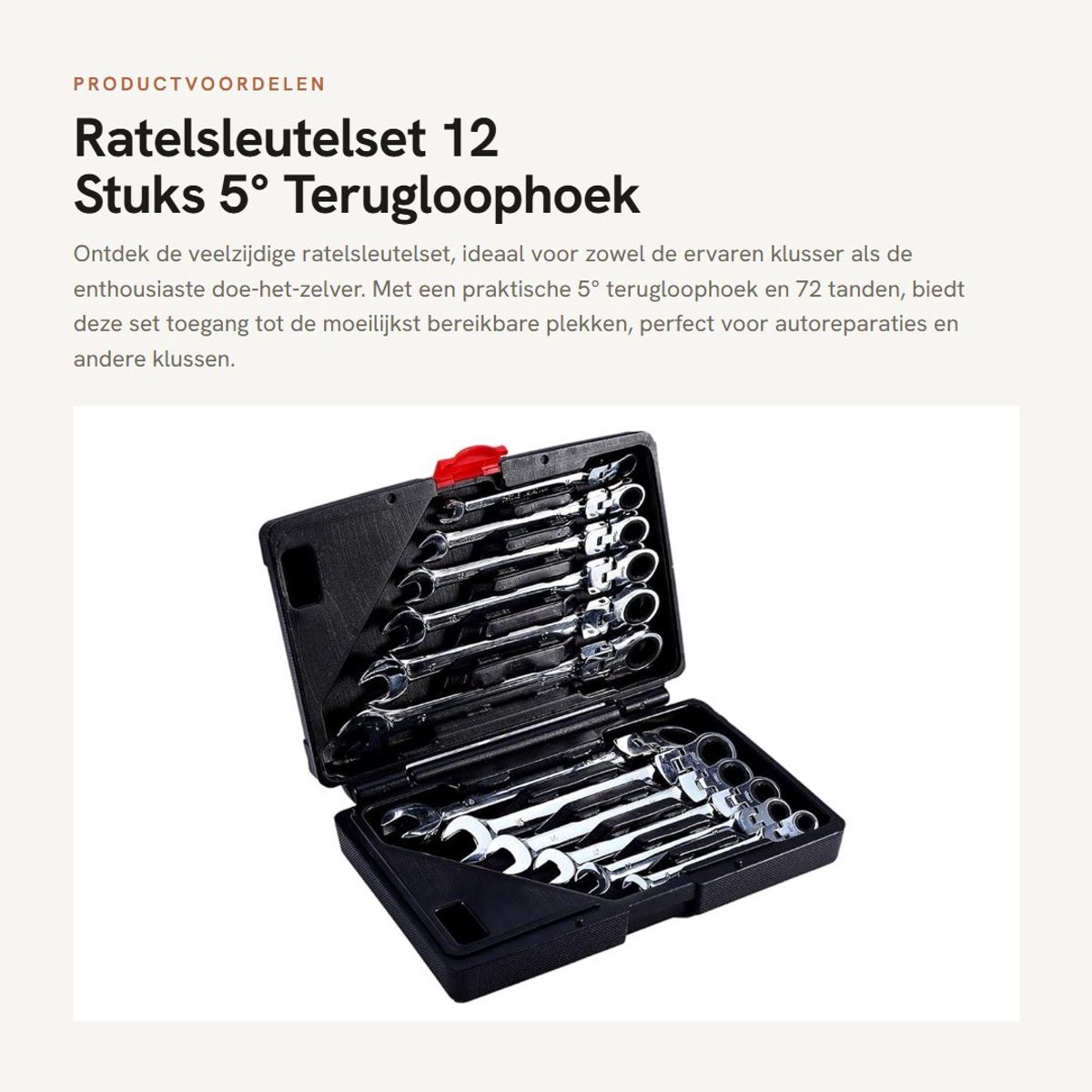 Dailygoods- Ratelsleutelset 12-delig - 8-19 mm - 72 Tanden - 5° Terugloophoek - Kunststof Hoes - Chroom-Vanadium Afwerking - Moersleutelset